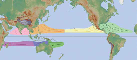tropical cyclone basins