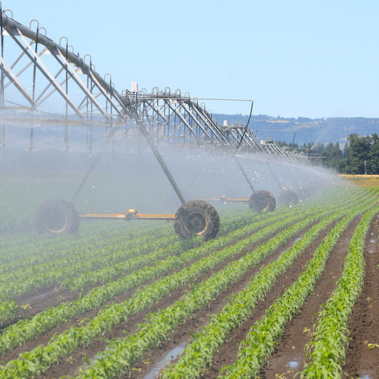 field irrigation