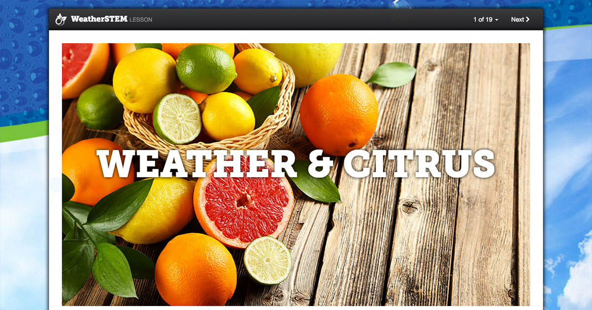 Stages of Citrus Growth Weather and Citrus