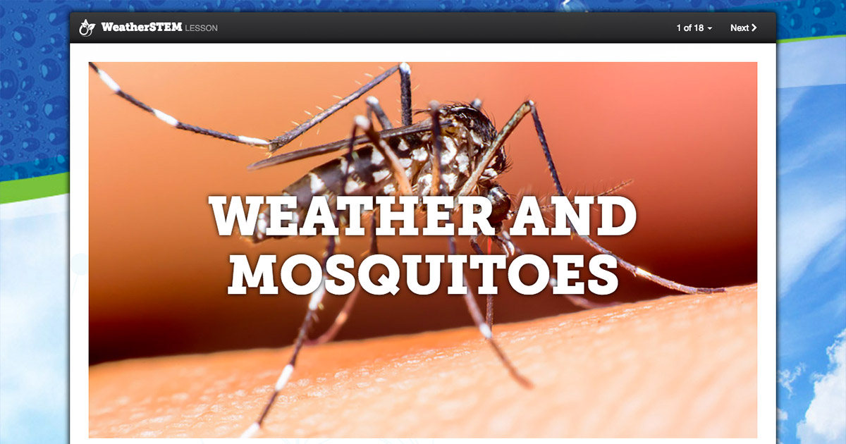 Are All Mosquitoes The Same? Weather and Mosquitoes