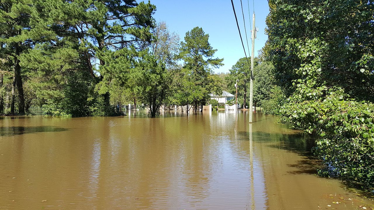 Hurricane Matthew aftermath, Greenville, NC, flooding