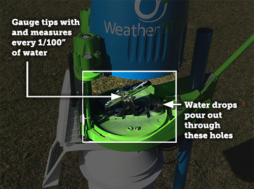 Rain Gauge