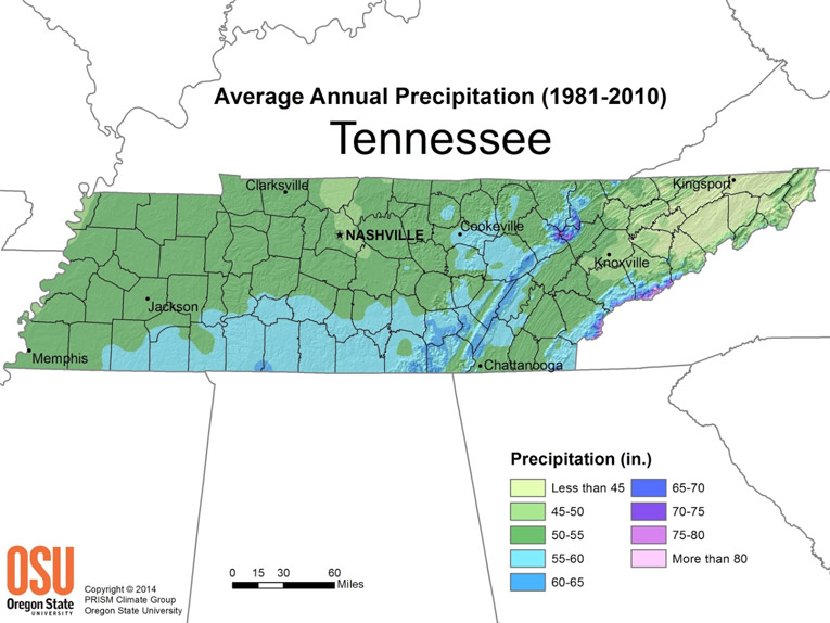 Average Annual Precipitation (1981-2010) Tennessee
