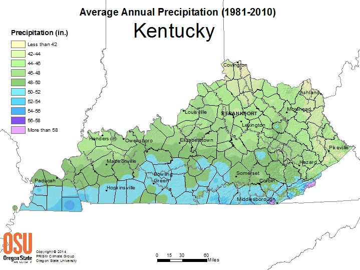 Average Annual Precipitation (1981-2010) Kentucky