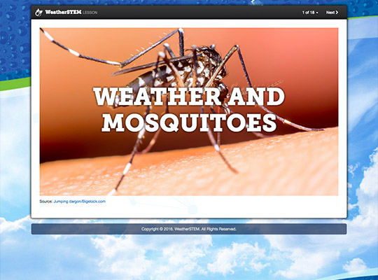 Weather and mosquitoes