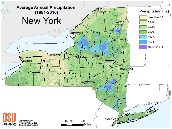 Average Annual Precipitation (1981-2010) New York