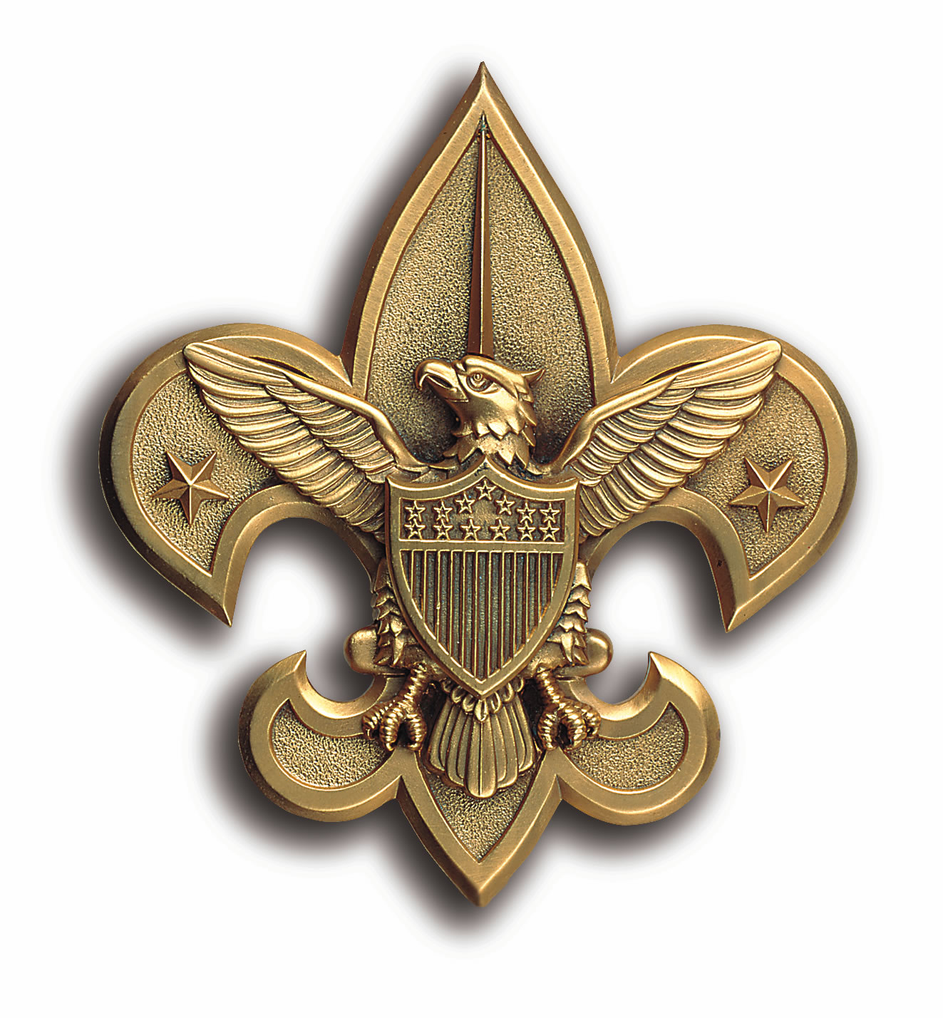 Boyscout badge