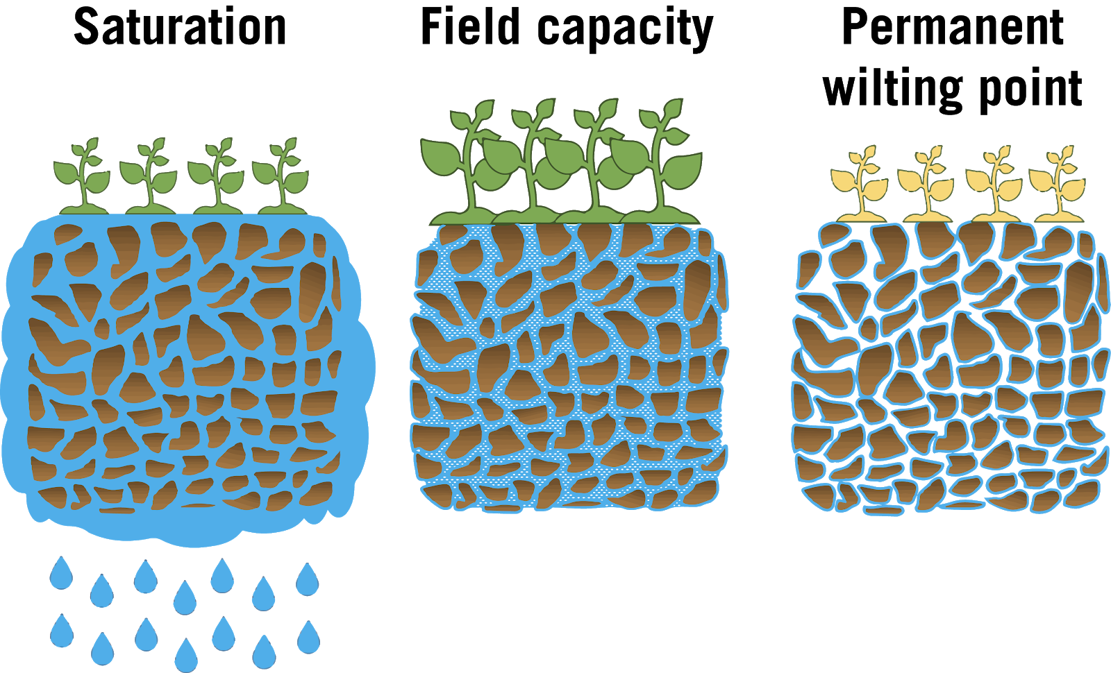 Soil And Soil Moisture | Weather And Corn