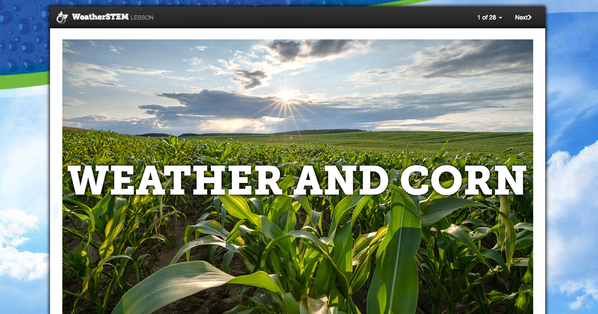 Growth Cycle of Corn Weather and Corn