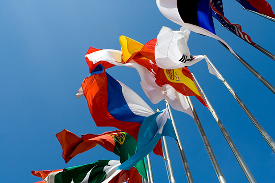 Flags in Wind