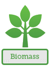 Biomass