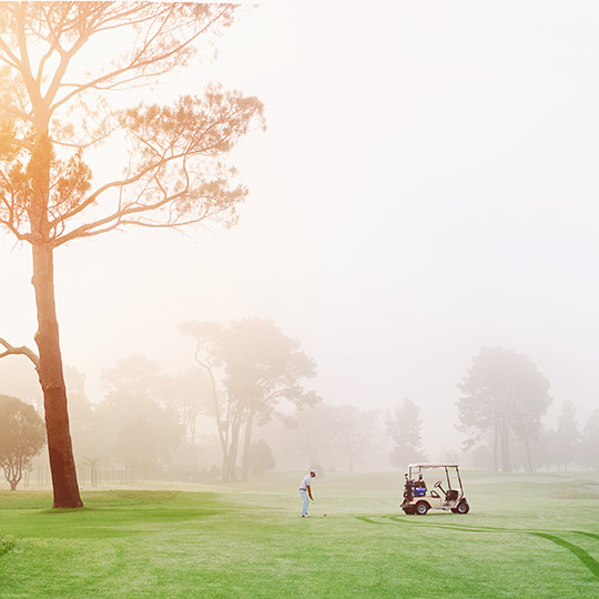 golf course mist