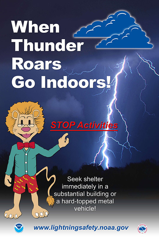 When Thunder Roars Go Indoors!