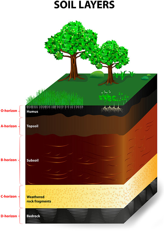 Soil Horizons | Climate and Soil Composition