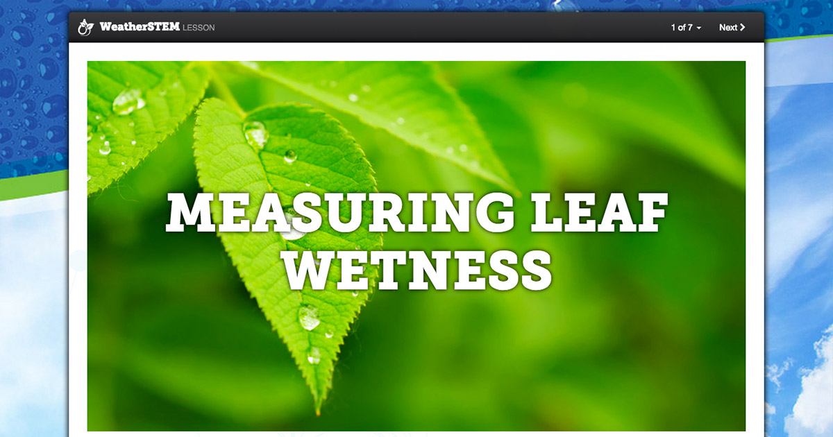 Measuring Leaf Wetness