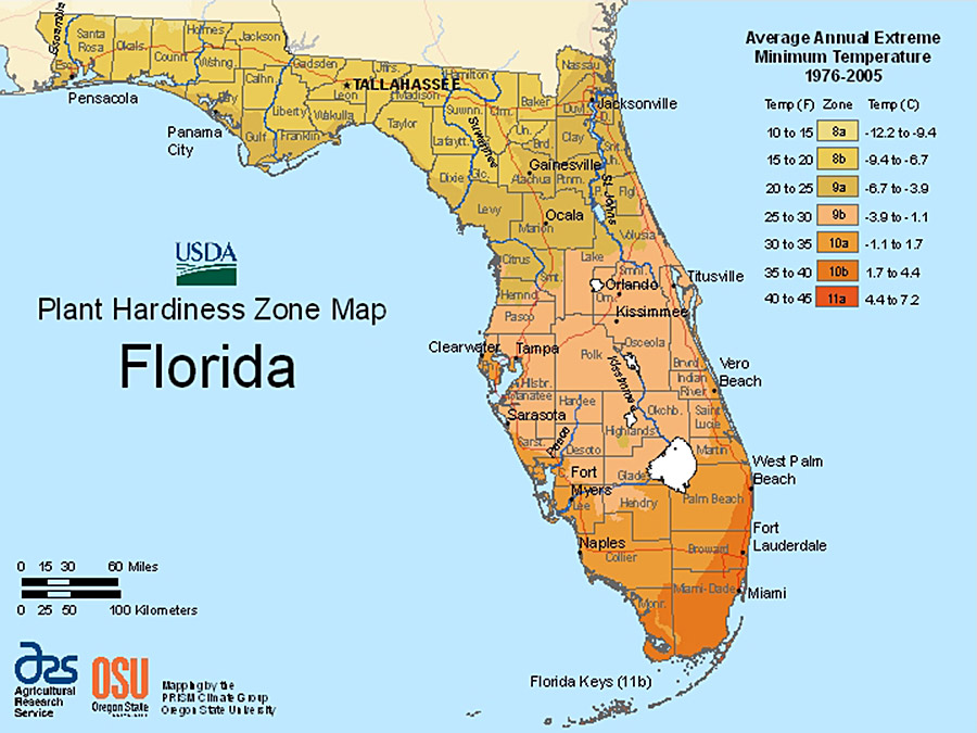 Plant Hardiness Zone Map: Florida
