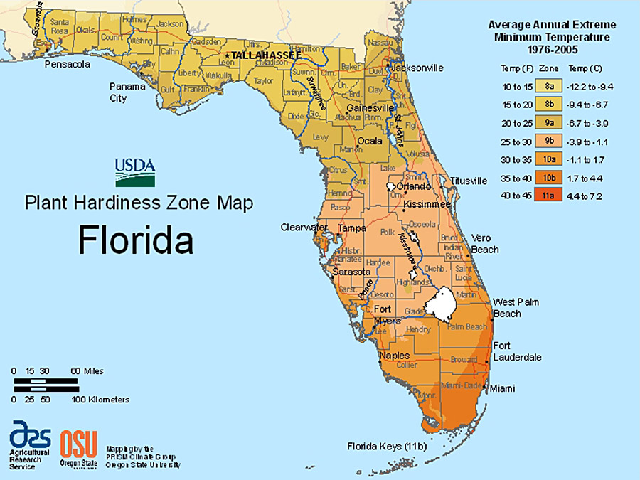 Plant Hardiness Zones Florida Climate
