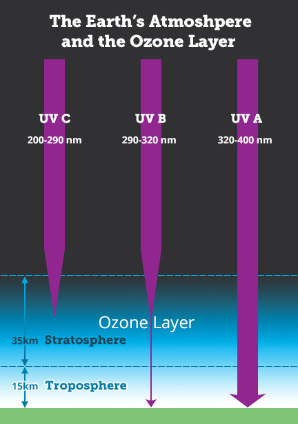 Ozone Layer and UV