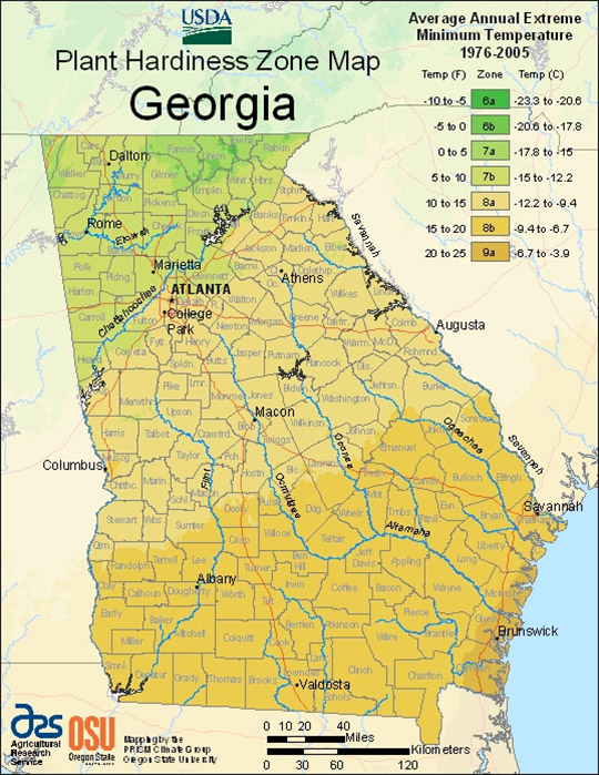 Georgia Plant Hardiness Zone Map